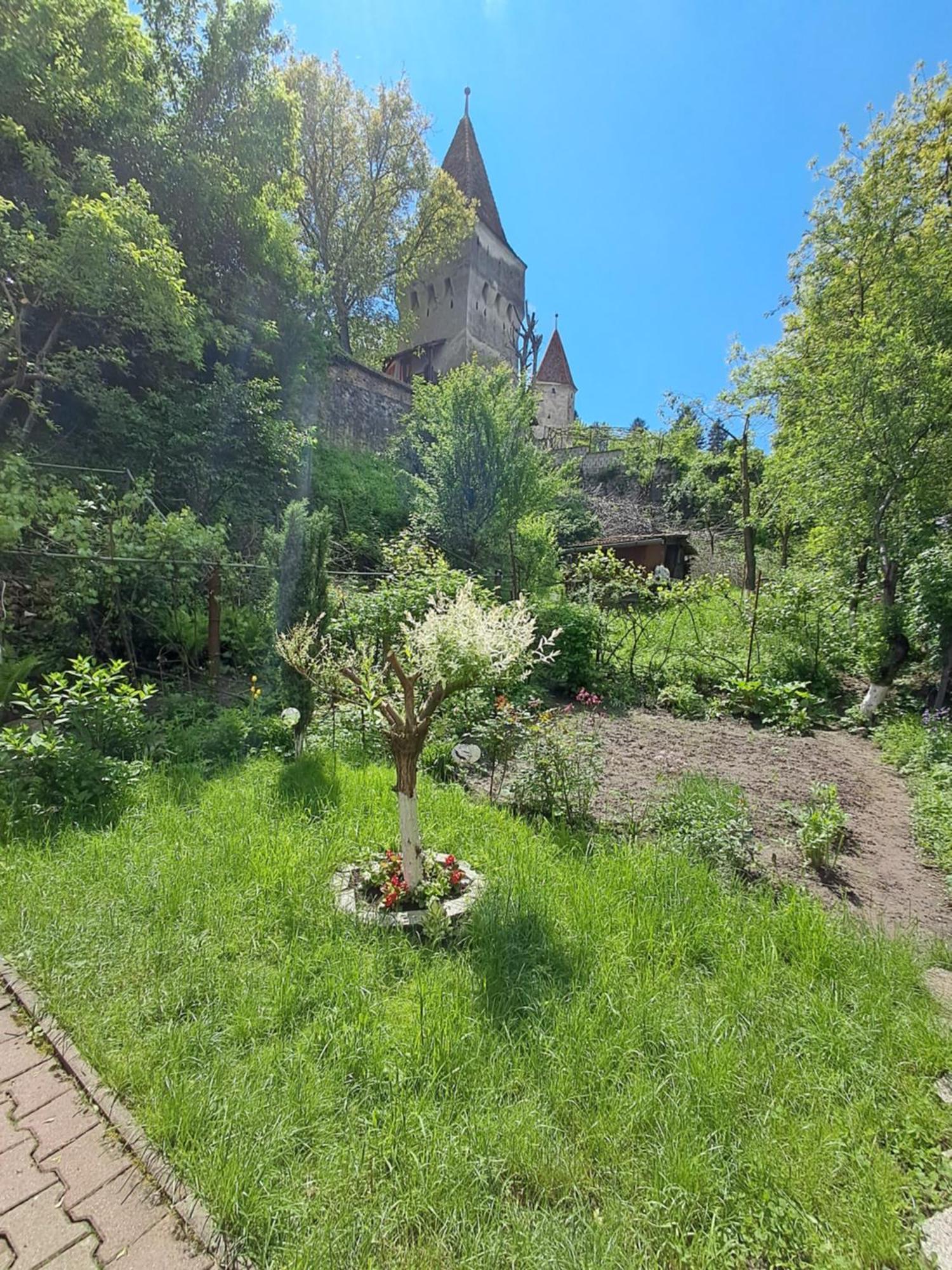 Casa Adimi Apartment Sighisoara Exterior photo